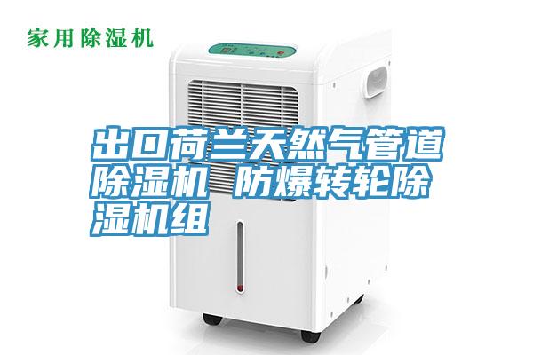 出口荷蘭天然氣管道除濕機(jī) 防爆轉(zhuǎn)輪除濕機(jī)組