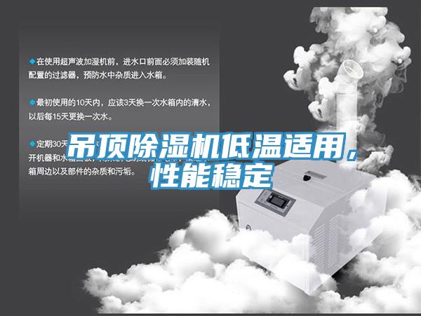 吊頂除濕機低溫適用，性能穩定
