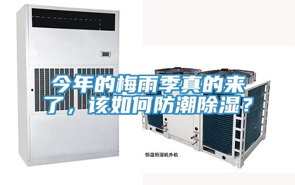 今年的梅雨季真的來了，該如何防潮除濕？