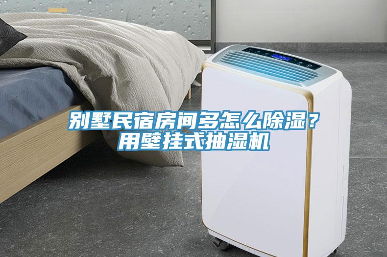 別墅民宿房間多怎么除濕？用壁掛式抽濕機(jī)