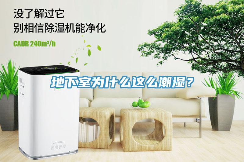 地下室為什么這么潮濕？