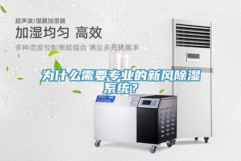為什么需要專業的新風除濕系統？