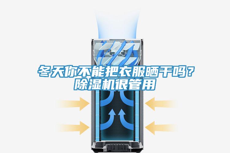 冬天你不能把衣服曬干嗎？除濕機很管用