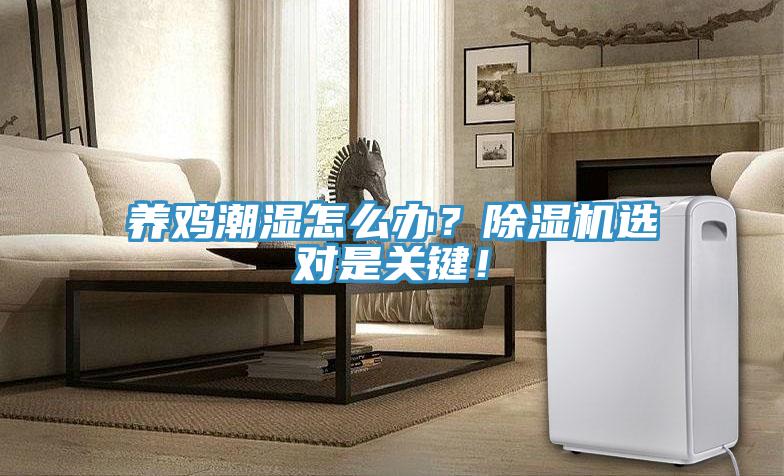 養(yǎng)雞潮濕怎么辦？除濕機選對是關鍵！