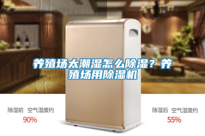 養殖場太潮濕怎么除濕？養殖場用除濕機