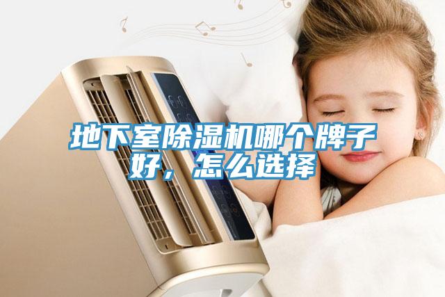 地下室除濕機哪個牌子好，怎么選擇