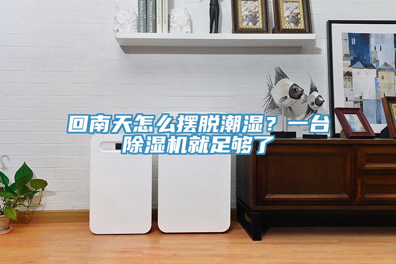 回南天怎么擺脫潮濕？一臺除濕機就足夠了