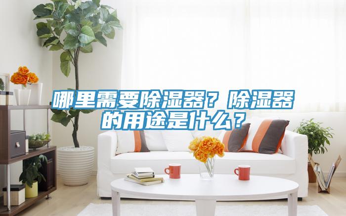 哪里需要除濕器？除濕器的用途是什么？