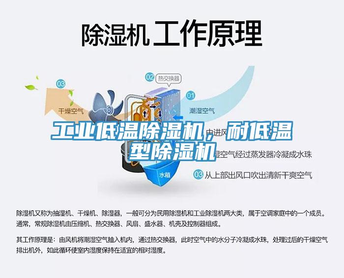 工業低溫除濕機，耐低溫型除濕機
