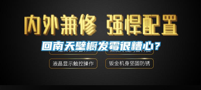 回南天壁櫥發霉很糟心？