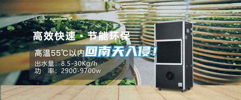 回南天入侵！