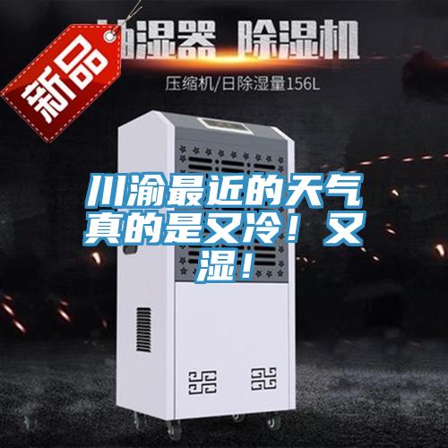 川渝最近的天氣真的是又冷！又濕！