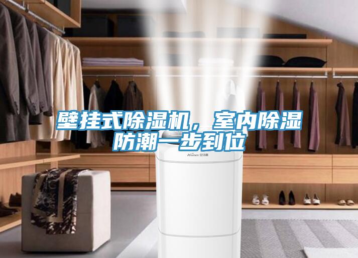 壁掛式除濕機，室內除濕防潮一步到位