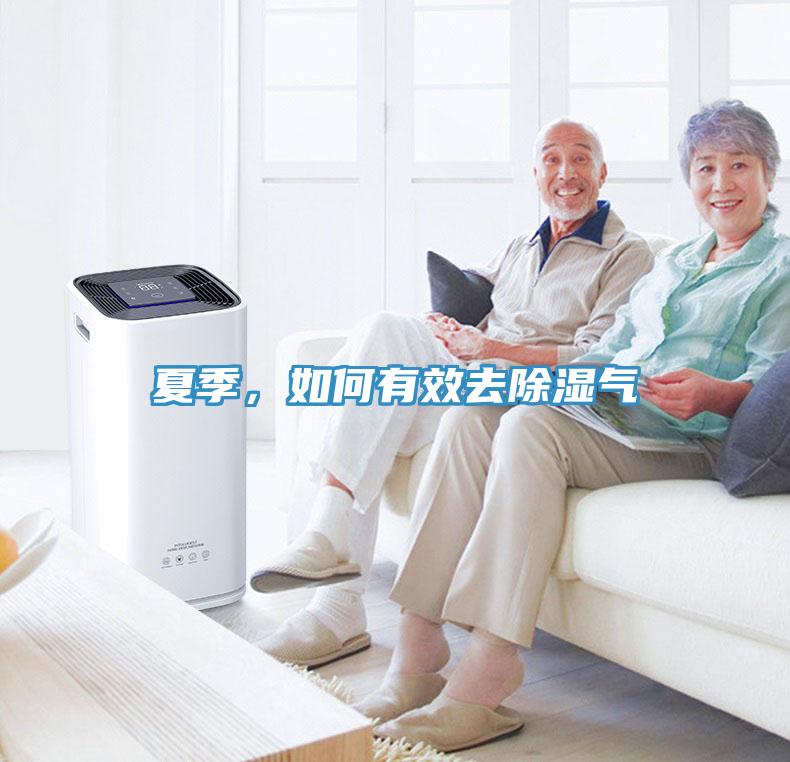 夏季，如何有效去除濕氣