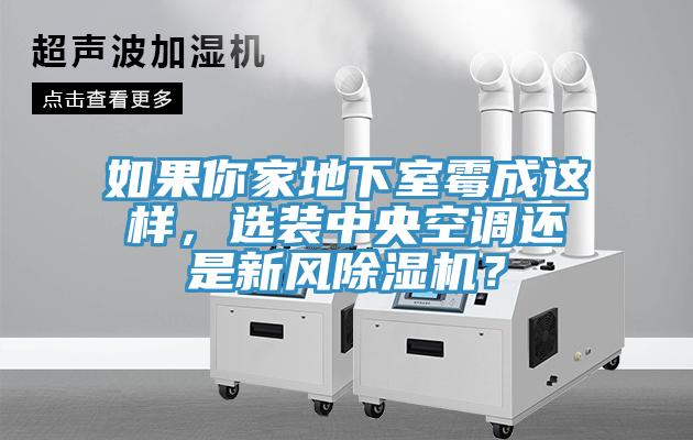 如果你家地下室霉成這樣，選裝中央空調(diào)還是新風(fēng)除濕機？