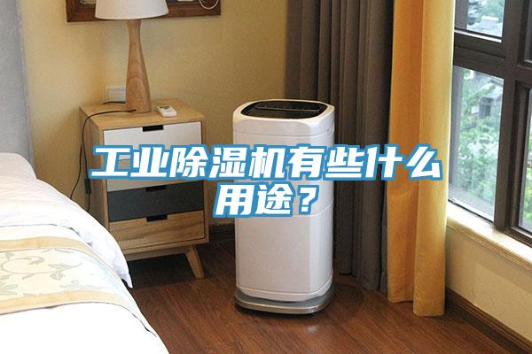工業除濕機有些什么用途？