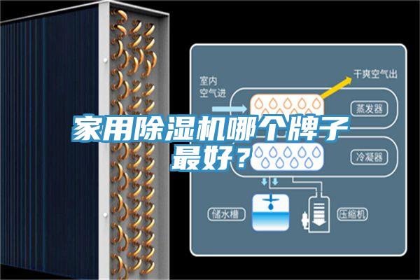 家用除濕機哪個牌子最好？