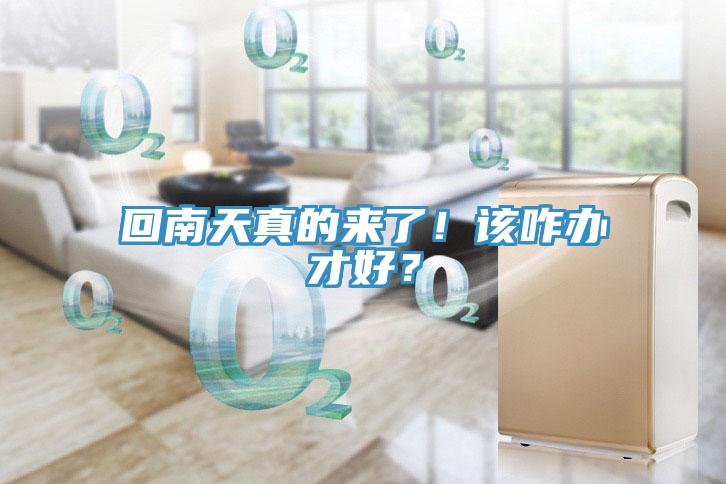 回南天真的來了！該咋辦才好？