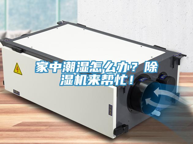 家中潮濕怎么辦？除濕機來幫忙！