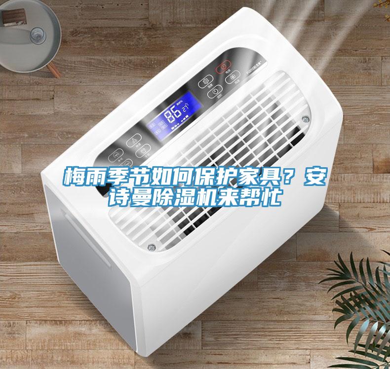 梅雨季節如何保護家具？安詩曼除濕機來幫忙
