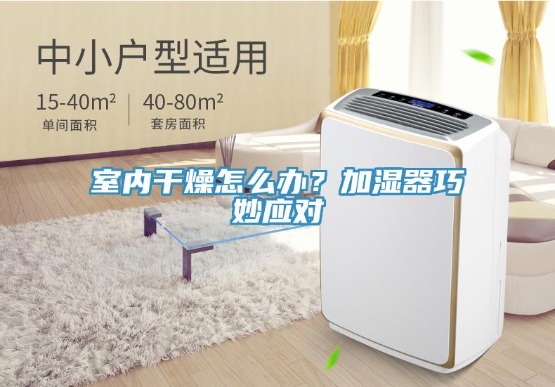 室內干燥怎么辦？加濕器巧妙應對