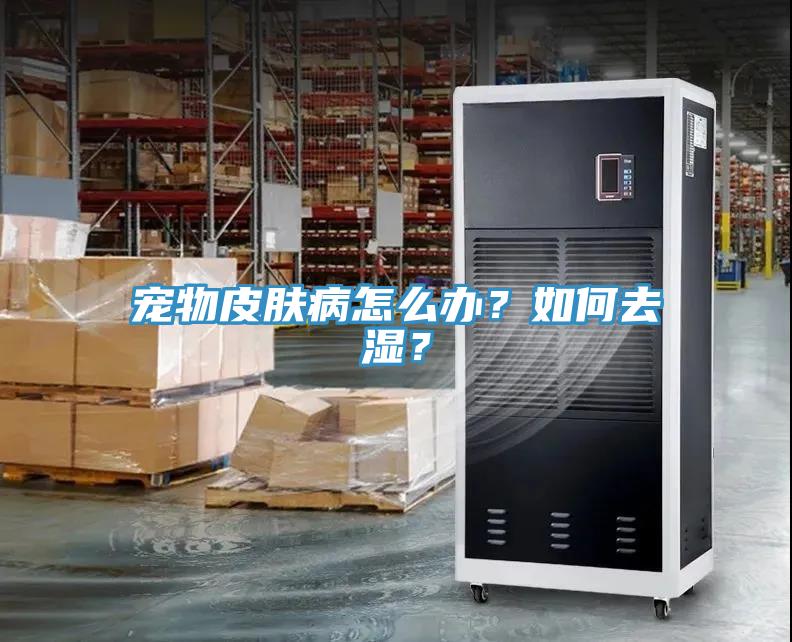 寵物皮膚病怎么辦？如何去濕？