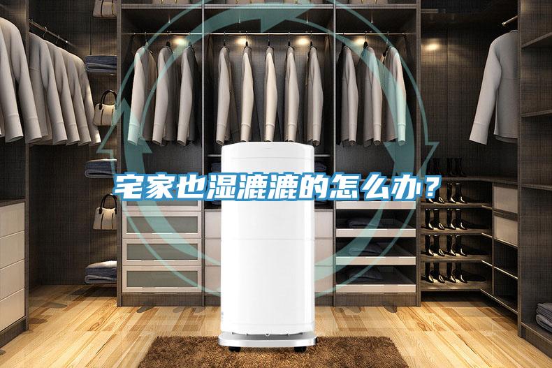 宅家也濕漉漉的怎么辦？