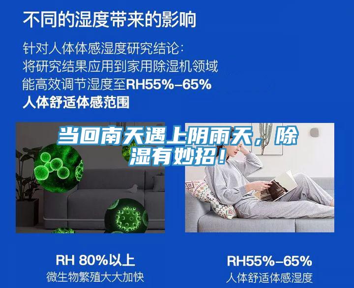 當回南天遇上陰雨天，除濕有妙招！