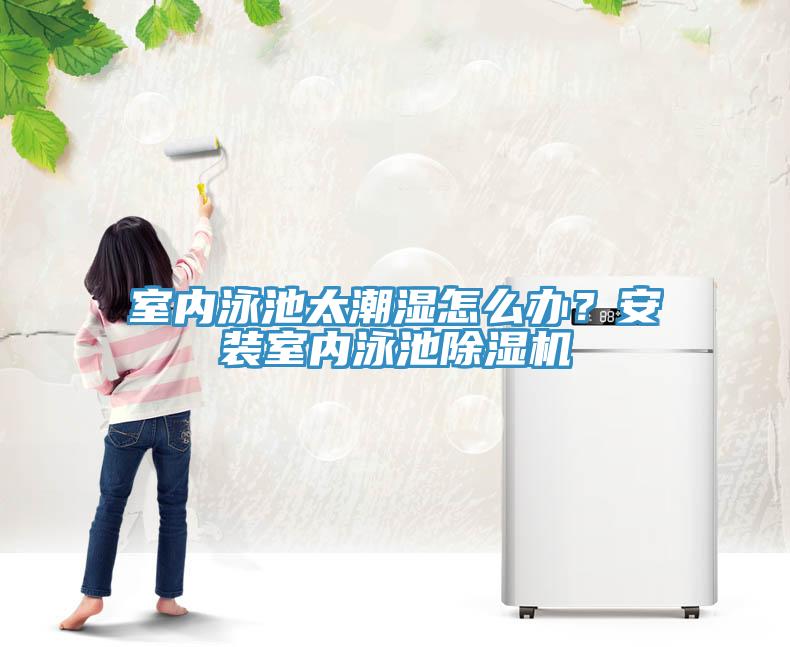 室內泳池太潮濕怎么辦？安裝室內泳池除濕機