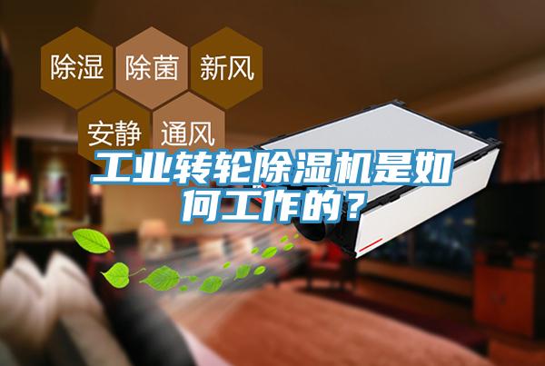 工業轉輪除濕機是如何工作的？