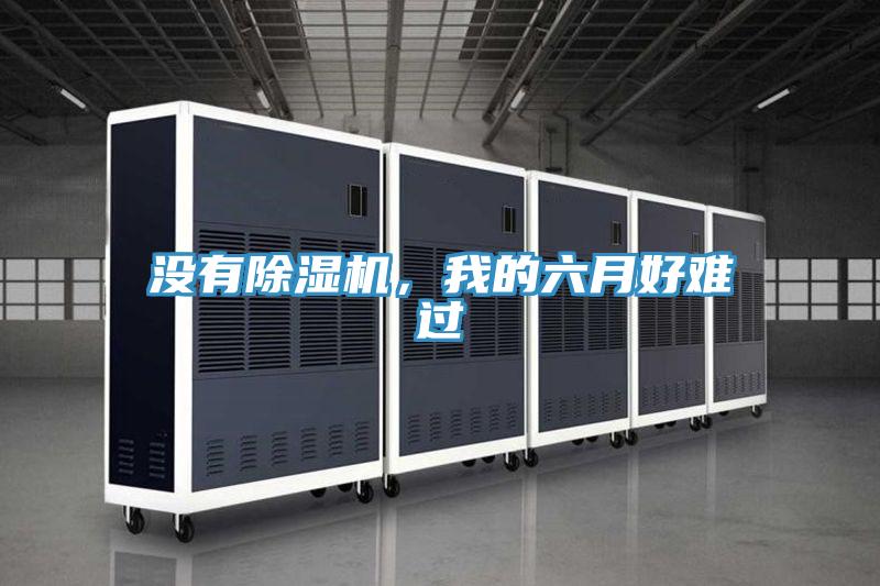沒有除濕機，我的六月好難過