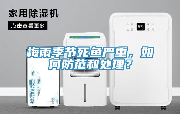 梅雨季節死魚嚴重，如何防范和處理？