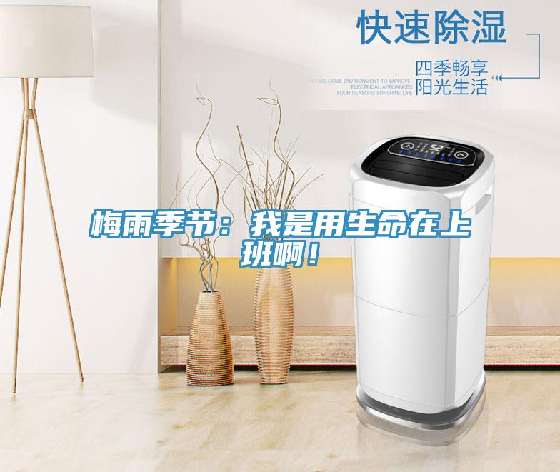 梅雨季節(jié)：我是用生命在上班啊！