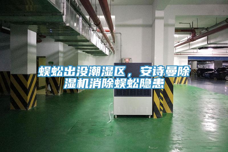 蜈蚣出沒潮濕區，安詩曼除濕機消除蜈蚣隱患