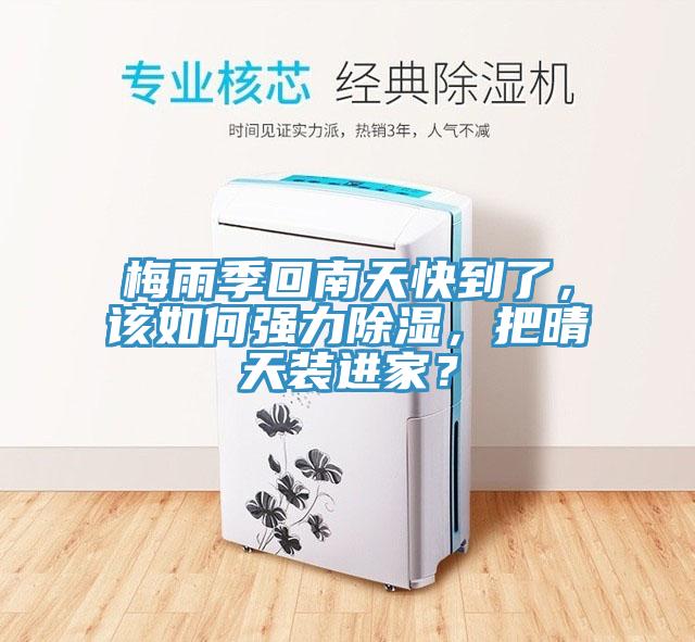 梅雨季回南天快到了，該如何強力除濕，把晴天裝進家？