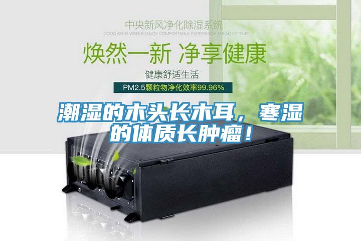 潮濕的木頭長(zhǎng)木耳，寒濕的體質(zhì)長(zhǎng)腫瘤！