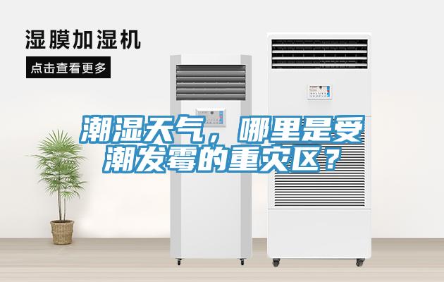 潮濕天氣，哪里是受潮發霉的重災區？
