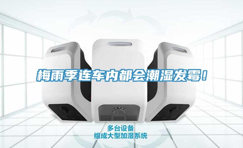 梅雨季連車內(nèi)都會(huì)潮濕發(fā)霉！
