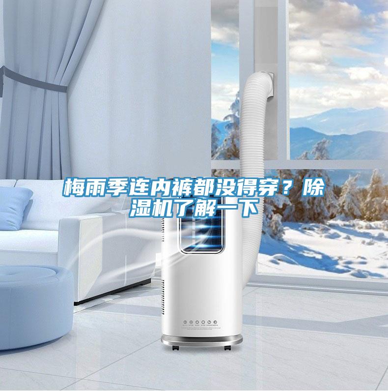 梅雨季連內(nèi)褲都沒得穿？除濕機(jī)了解一下
