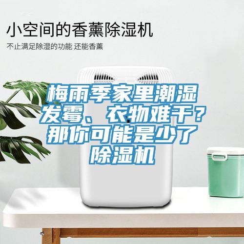 梅雨季家里潮濕發(fā)霉、衣物難干？那你可能是少了除濕機(jī)