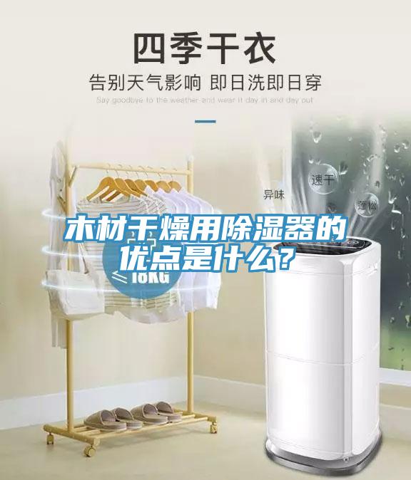 木材干燥用除濕器的優點是什么？