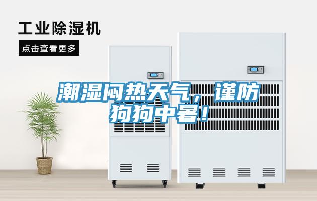 潮濕悶熱天氣，謹防狗狗中暑！