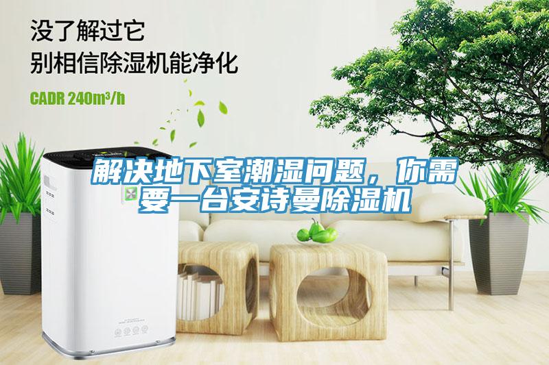 解決地下室潮濕問題，你需要一臺安詩曼除濕機
