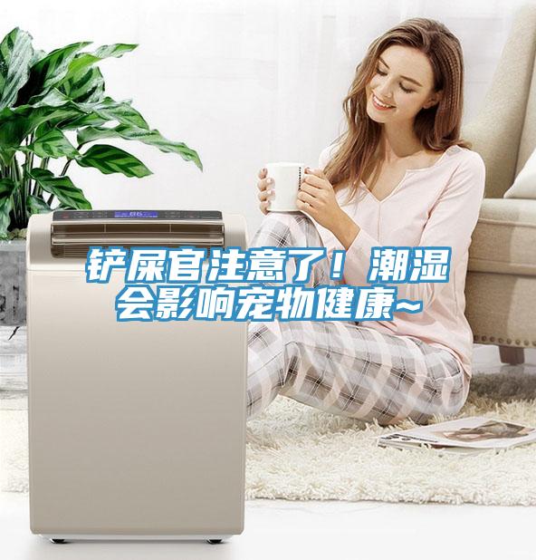 鏟屎官注意了！潮濕會影響寵物健康~