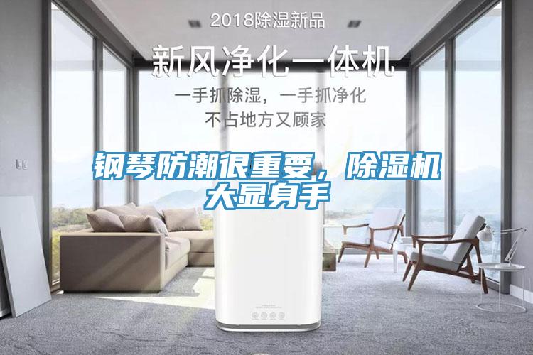 鋼琴防潮很重要，除濕機大顯身手