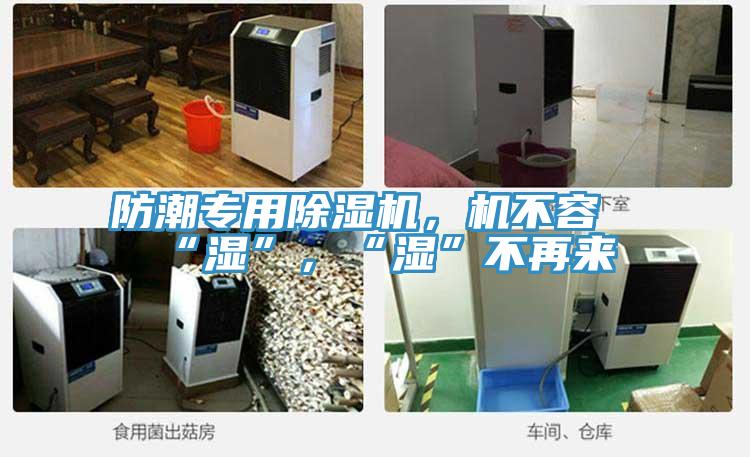 防潮專用除濕機，機不容“濕”，“濕”不再來