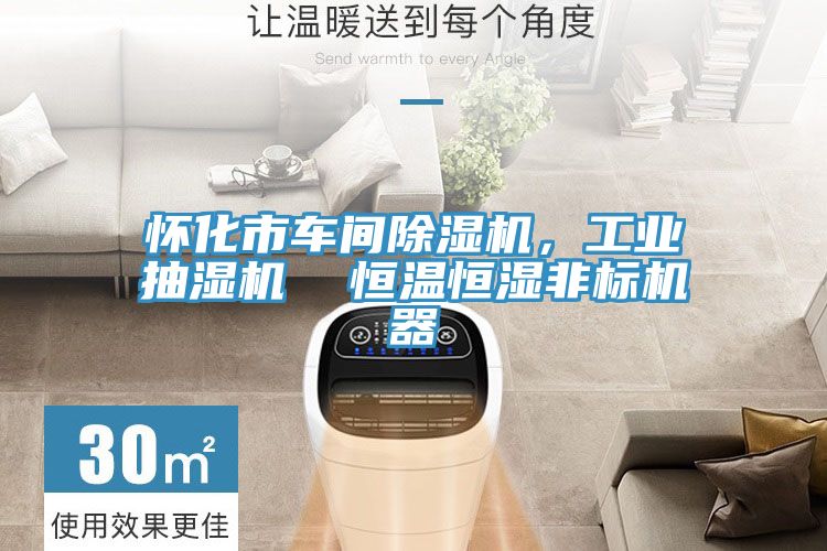 懷化市車間除濕機，工業(yè)抽濕機  恒溫恒濕非標機器