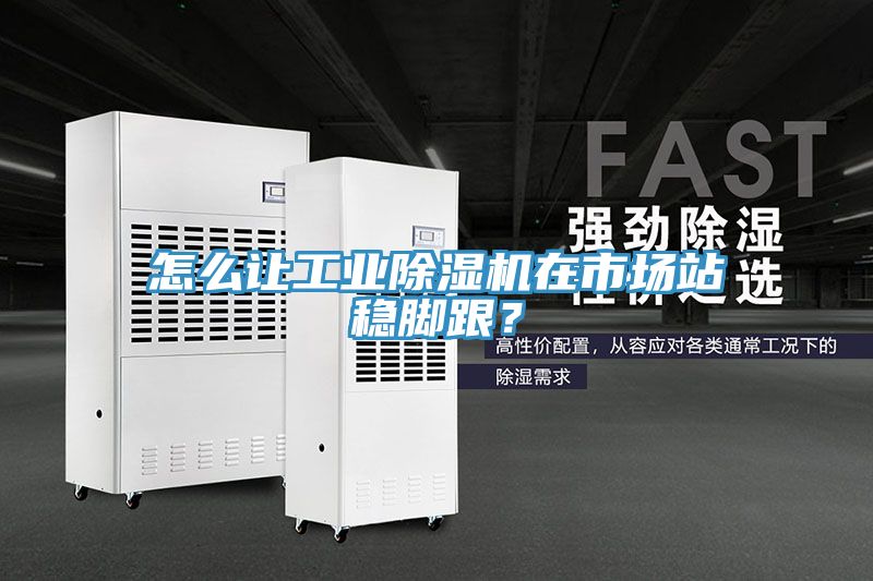 怎么讓工業(yè)除濕機在市場站穩(wěn)腳跟？