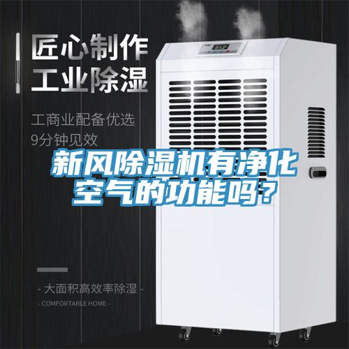 新風(fēng)除濕機(jī)有凈化空氣的功能嗎？