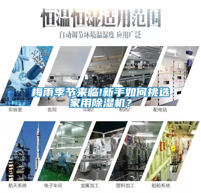 梅雨季節來臨!新手如何挑選家用除濕機？